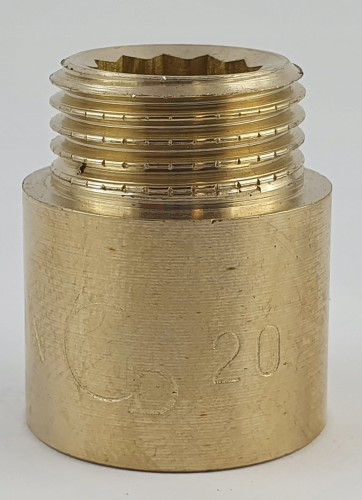 3156393.jpg