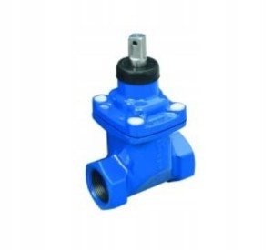 Zasuwa gwintowana Dn50 2 cale PN10 NORSON