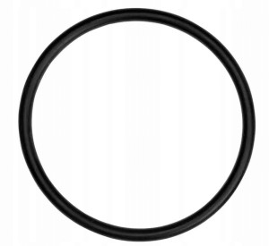 Uszczelka oring korpusu filtra 10 cali